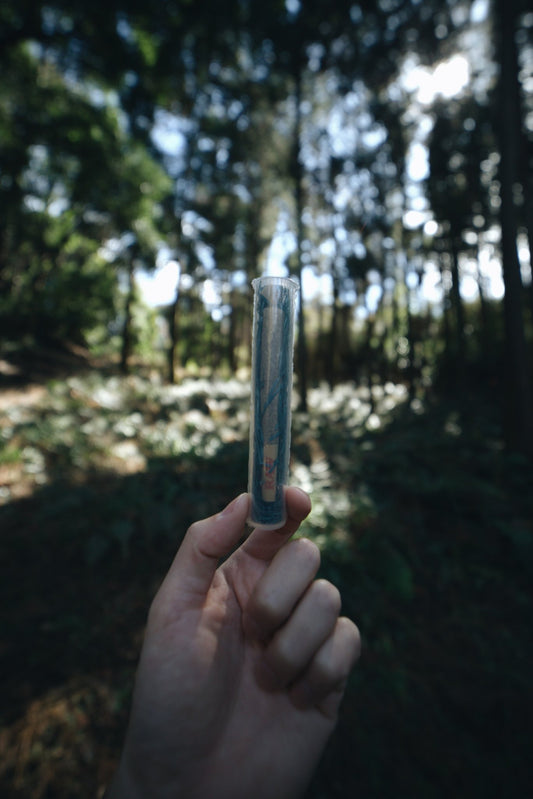 Blue Spruce Wood Wool (Japanese Red Pine) - Smodge