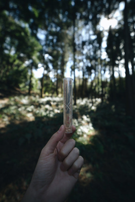 Hinoki Wood Wool (Japanese Cypress) - Smodge