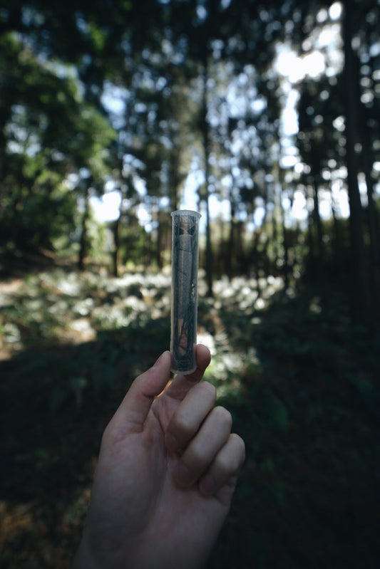 Juniper Green Wood Wool (Japanese Red Pine) - Smodge