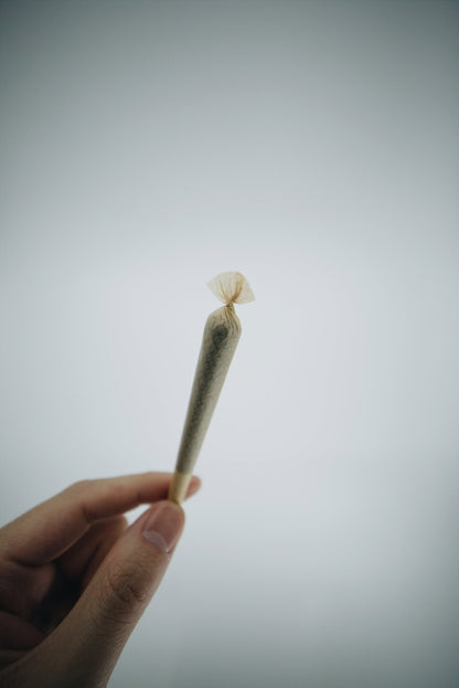 Botanical Rolls - Smodge