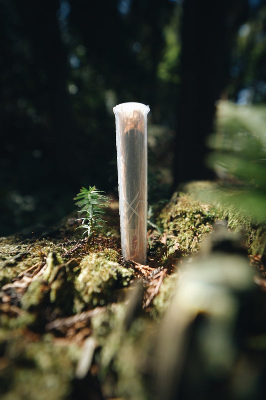 Hinoki Wood Wool (Japanese Cypress) - Smodge