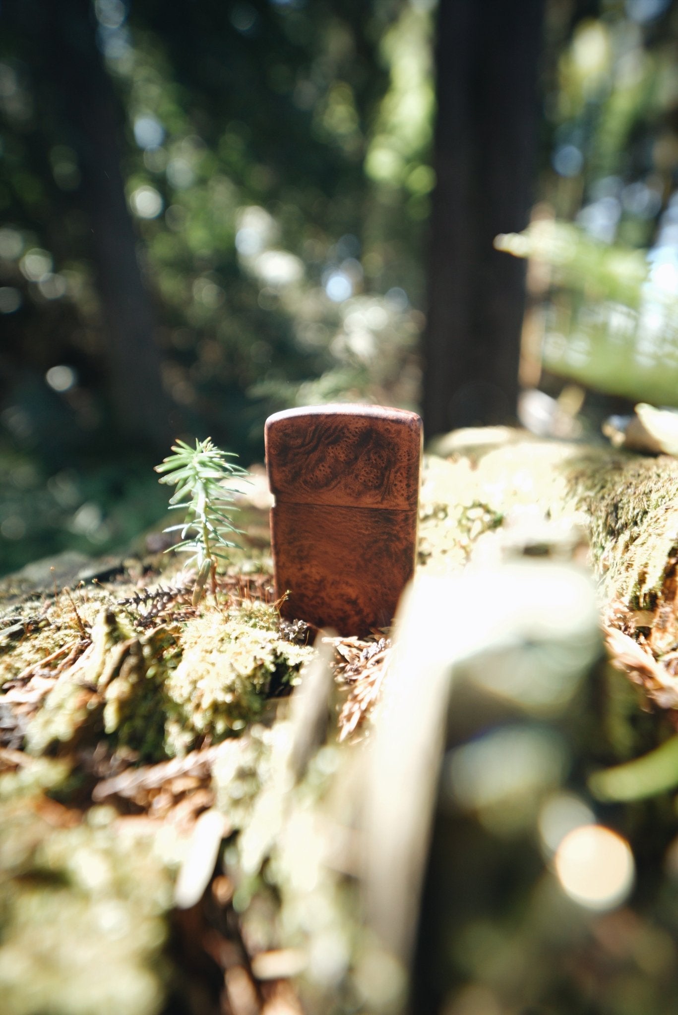 Lighter - Smodge
