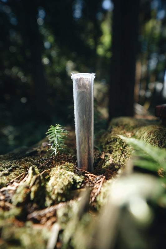 Wenge Brown Wood Wool (Japanese Red Pine) - Smodge